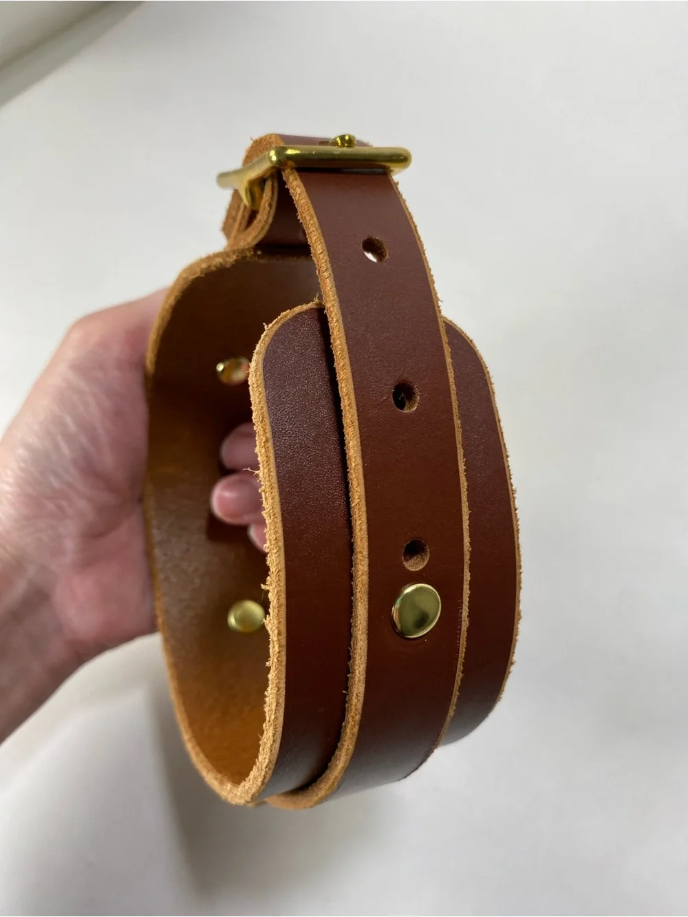Leathe Dog Collar Animal Dog With Brass Ring and Buckle 11 1/2